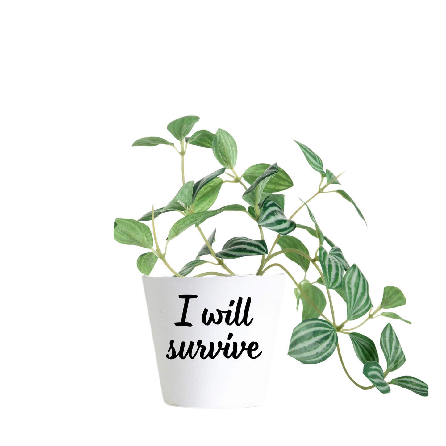 Witte mini bloempot met tekst I will servive Handmade by J.