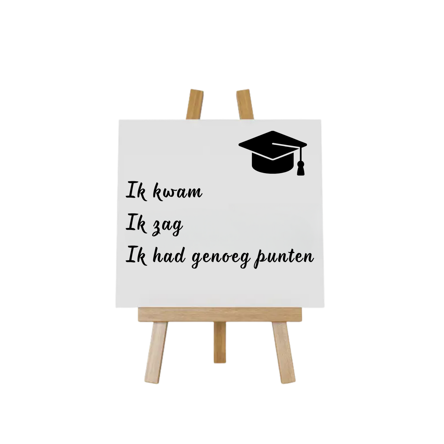 Wit teksttegeltje voor geslaagden met tekst ik kwam, ik zag, ik had genoeg punten. Handmade by J.