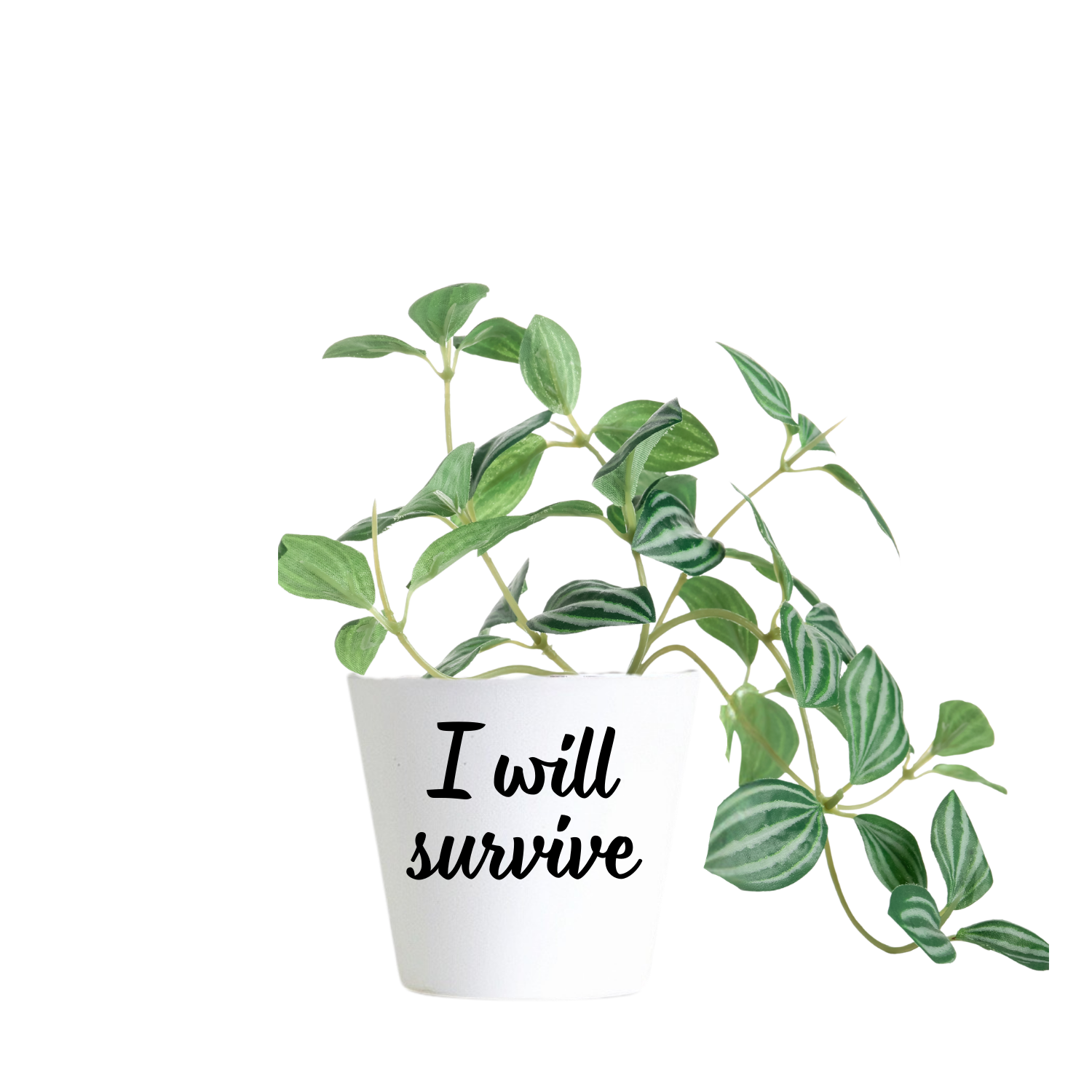 Witte mini bloempot met tekst I will servive