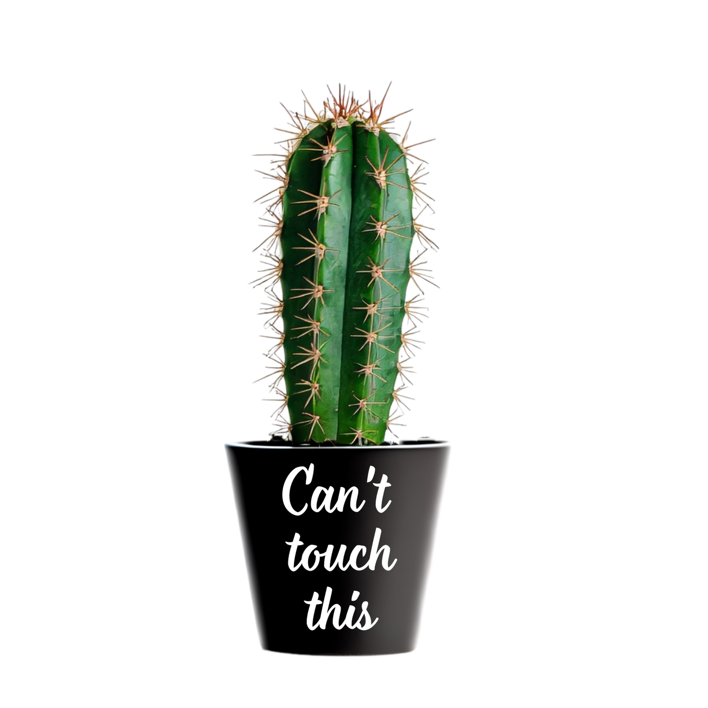 Zwarte mini bloempot met tekst Can't touch this