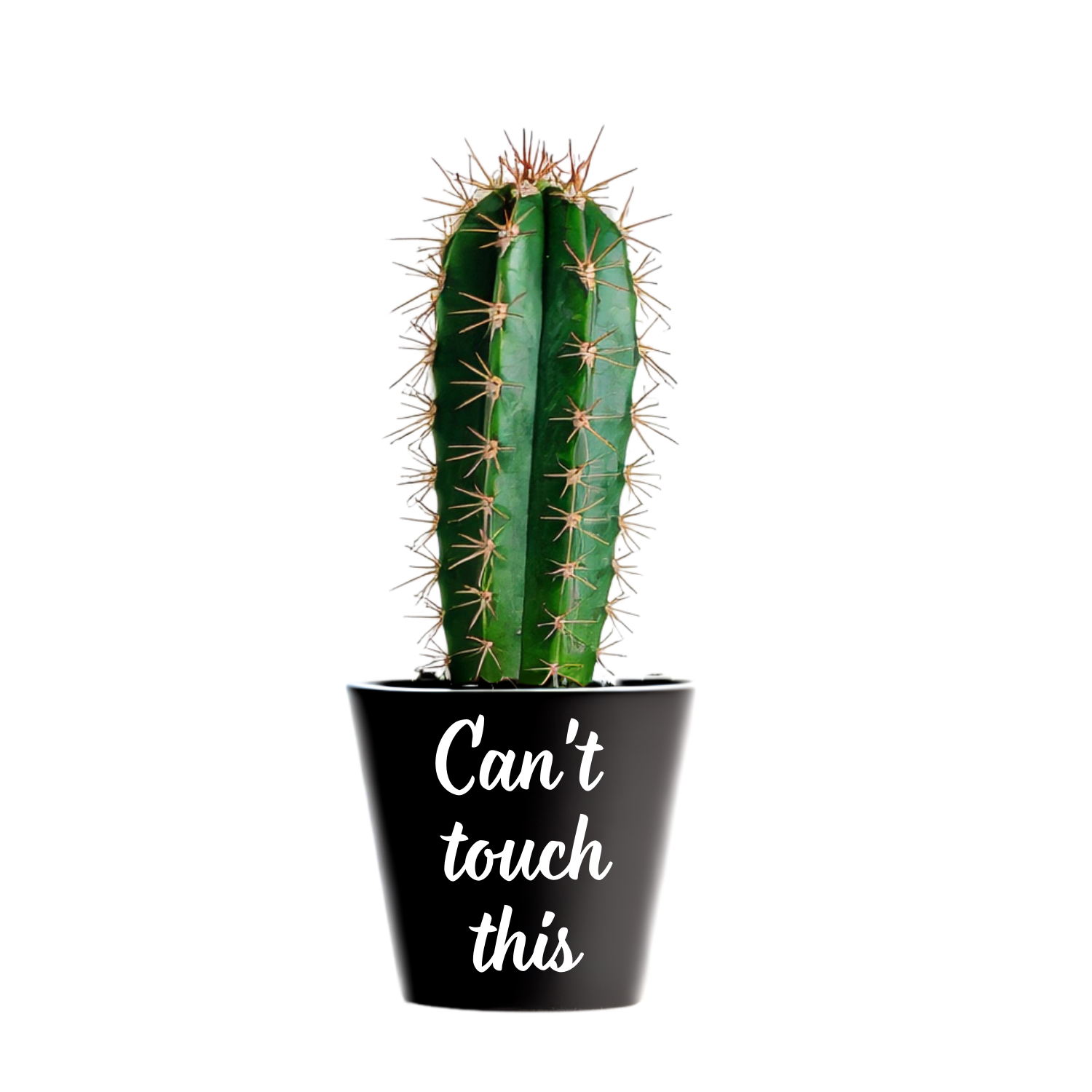 Zwarte mini bloempot met tekst Can't touch this