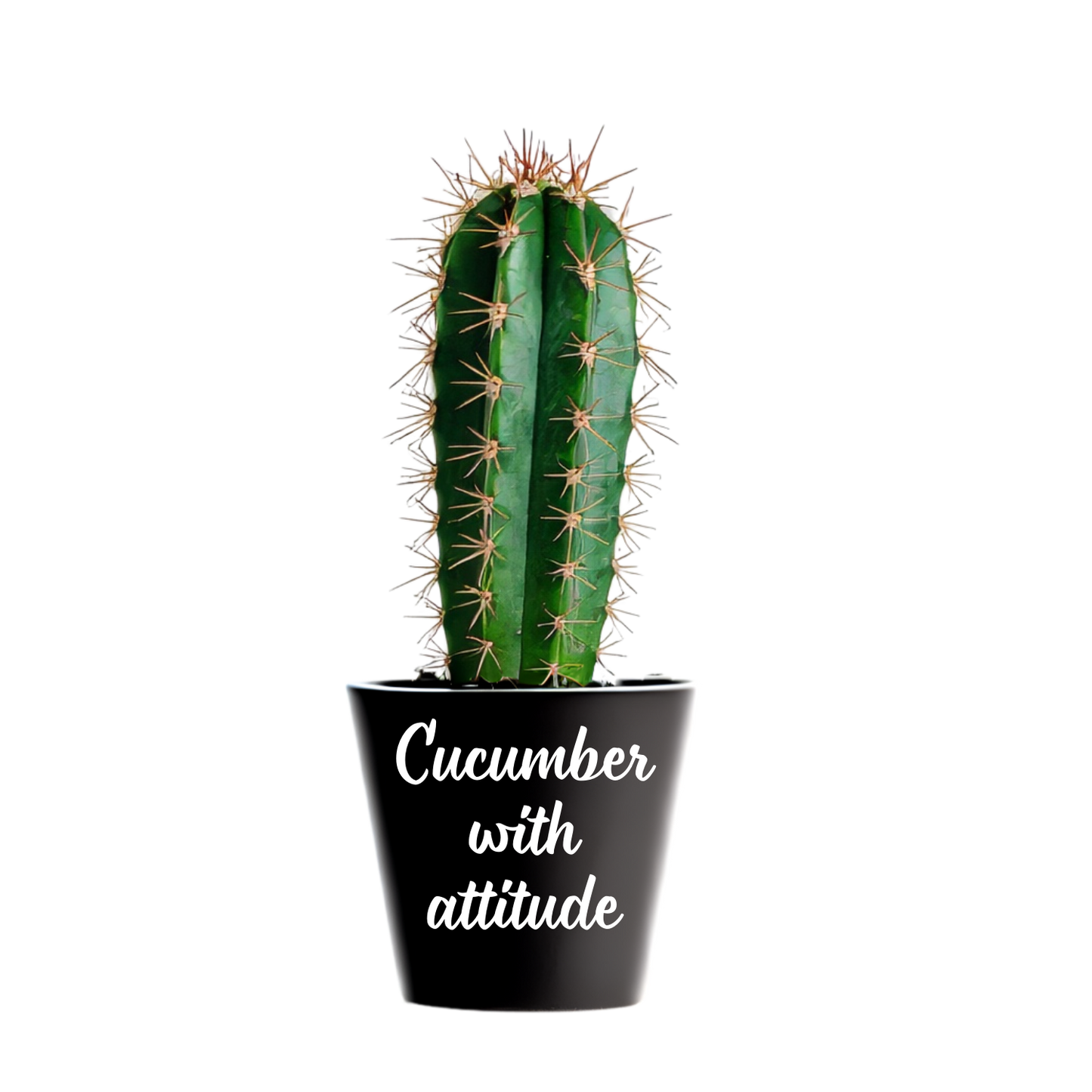 Zwarte mini bloempot met tekst Cucumber with attitude
