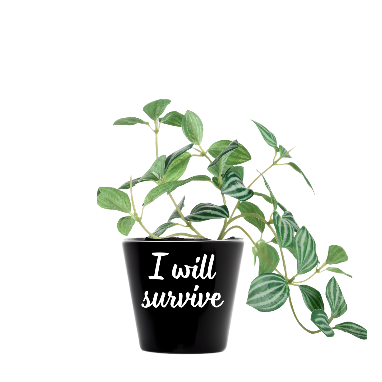 Zwarte mini bloempot met tekst I will servive