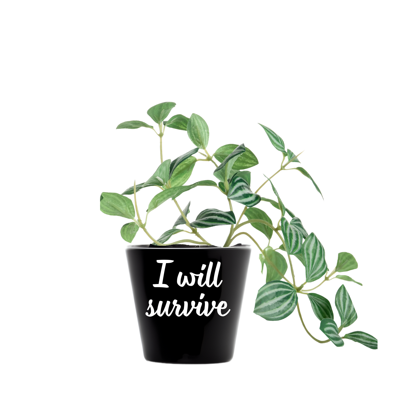 Zwarte mini bloempot met tekst I will servive