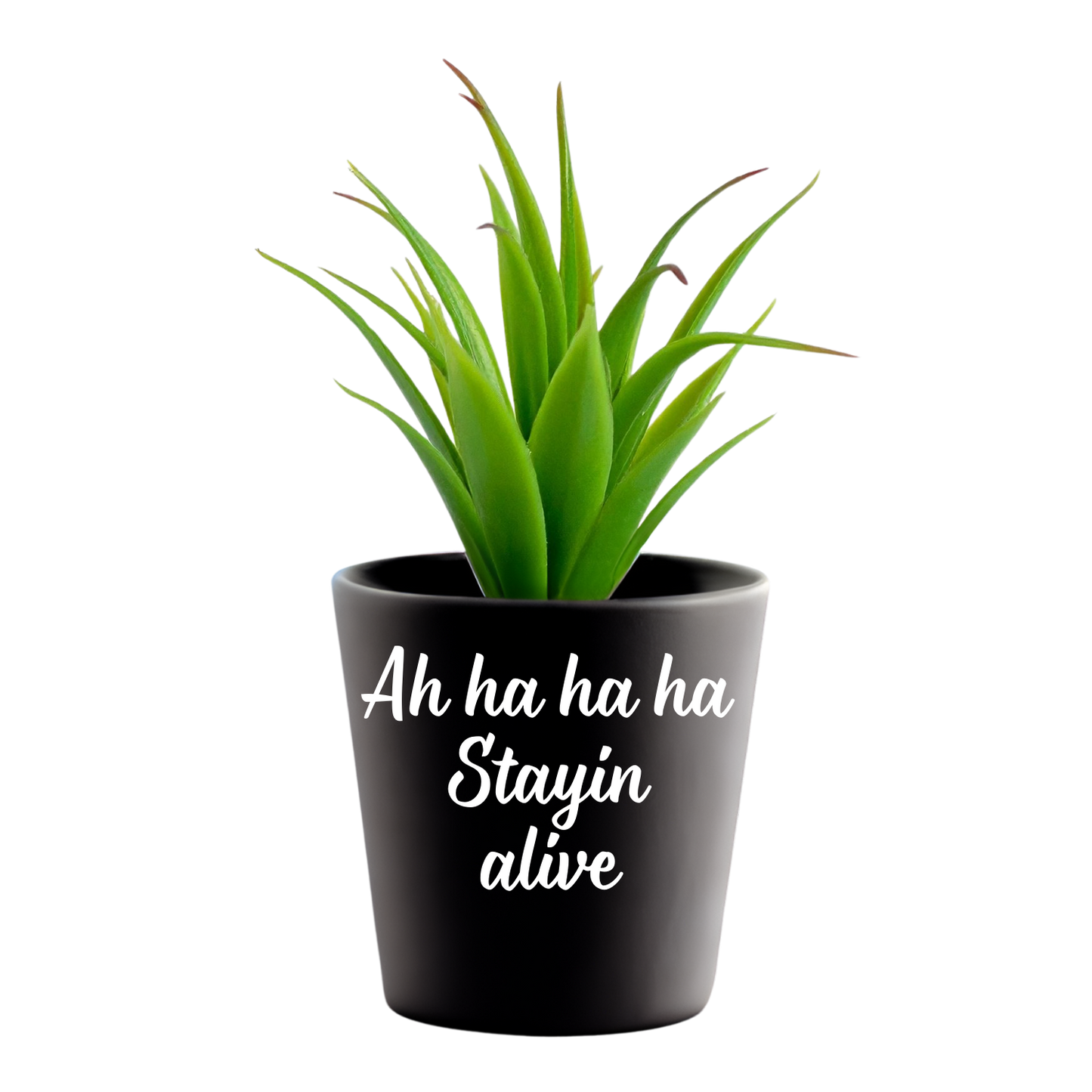 Zwarte mini bloempot met tekst Stayin alive