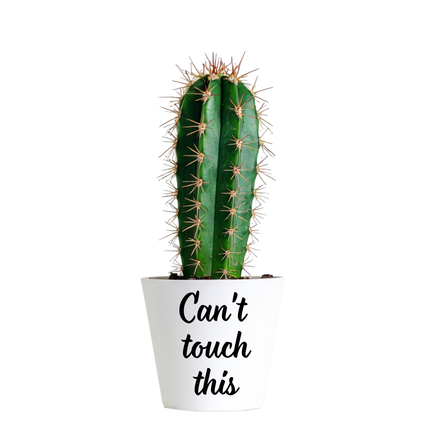 Witte mini bloempot met tekst Can't touch this voor een actus
