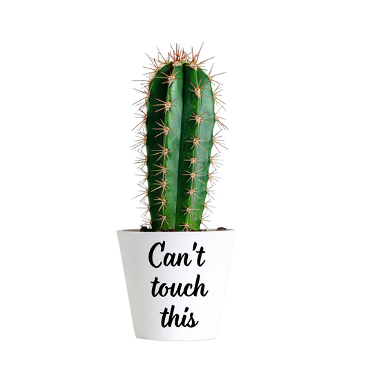 Witte mini bloempot met tekst Can't touch this voor een actus