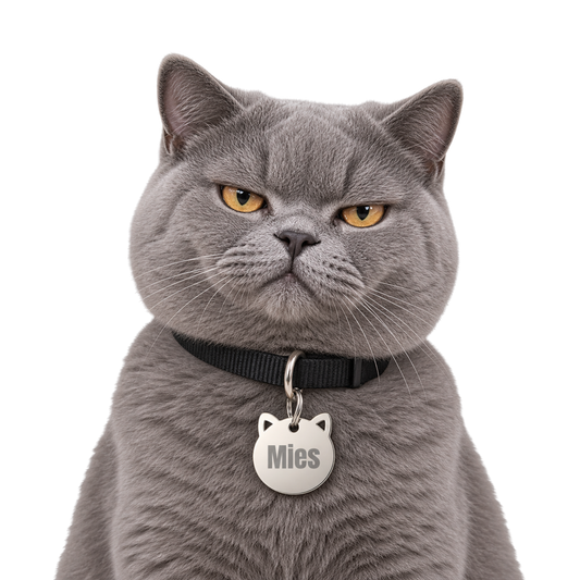 Gepersonaliseerde kattenpenning met naam en telefoonnummer