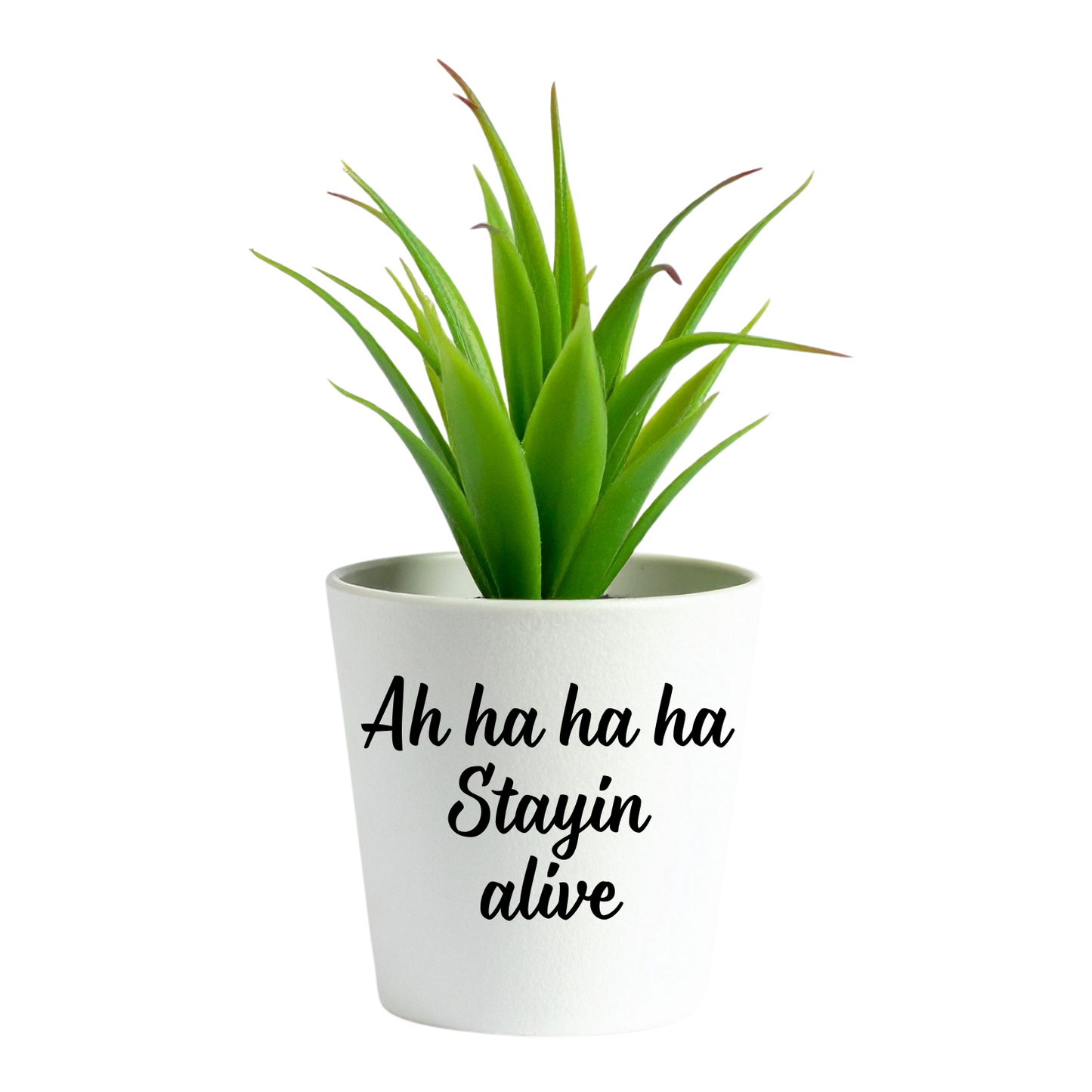 Witte mini bloempot met tekst Stayin alive