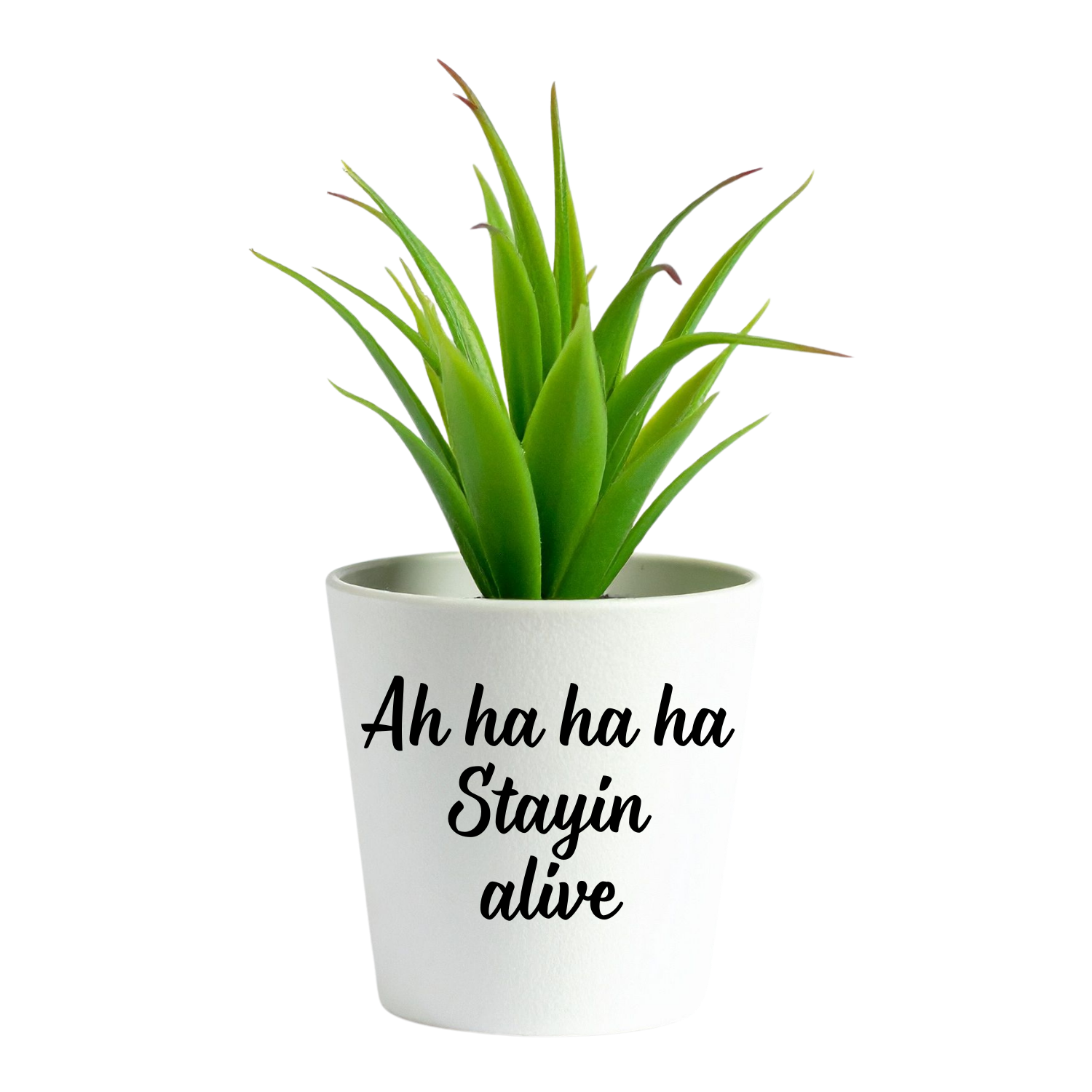 Witte mini bloempot met tekst Stayin alive